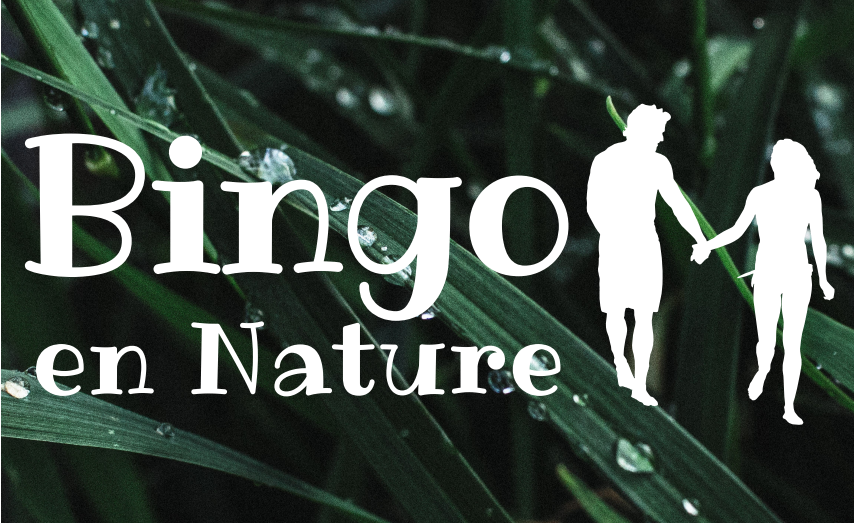 bingo nature date original
